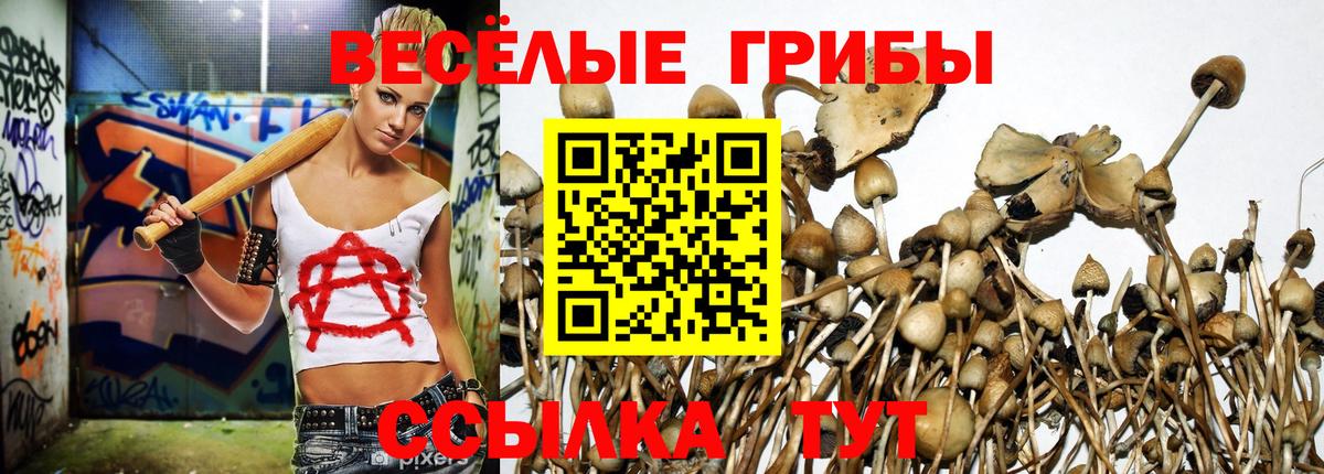 Псилоцибиновые грибы мухоморы  Вход с VPN  магазин продажи наркотиков  Железноводск  Галлюциногенные грибы Psilocybine cubensis 